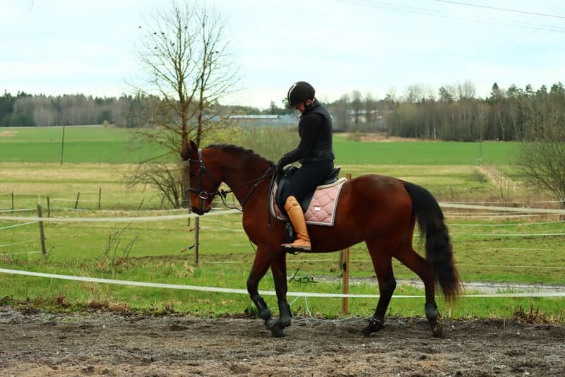 Bild 2 av placeholder text