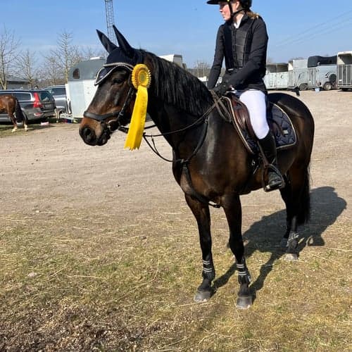 Profilbild av Lisa Höglund