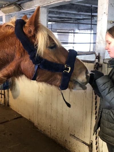 Inlägg 148 av Allround med titeln Min syster och min häst🍃