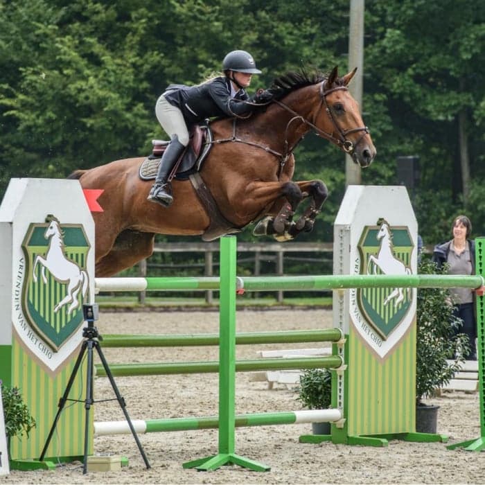 Media 1 av Nibaly JW Vd moerhoevee