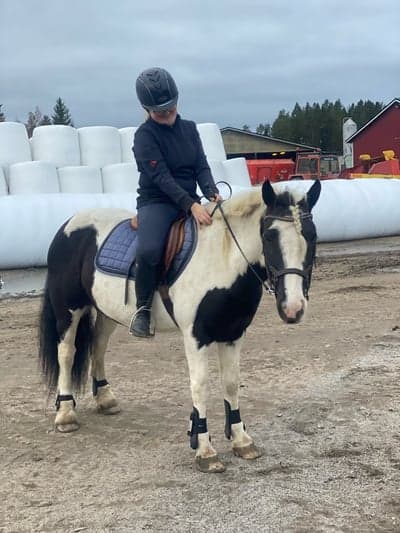 Post 1 of Liberty dressage with title ⭐️ TRÄNING FÖR JOSEFIN 7/10-25 ⭐️