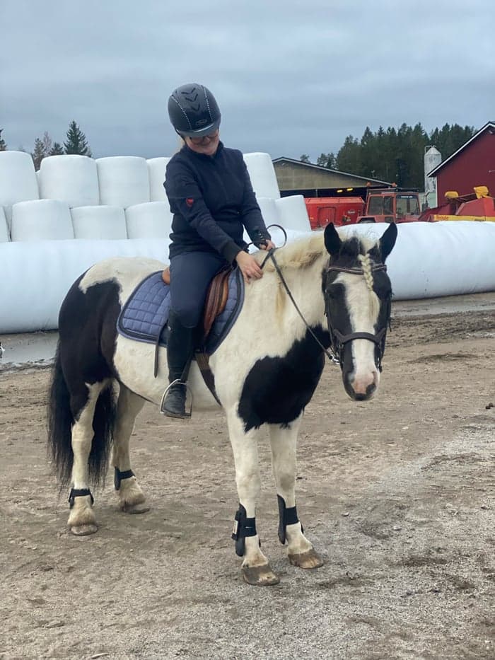 Media 2 of TAURMORE OREO SHAKE