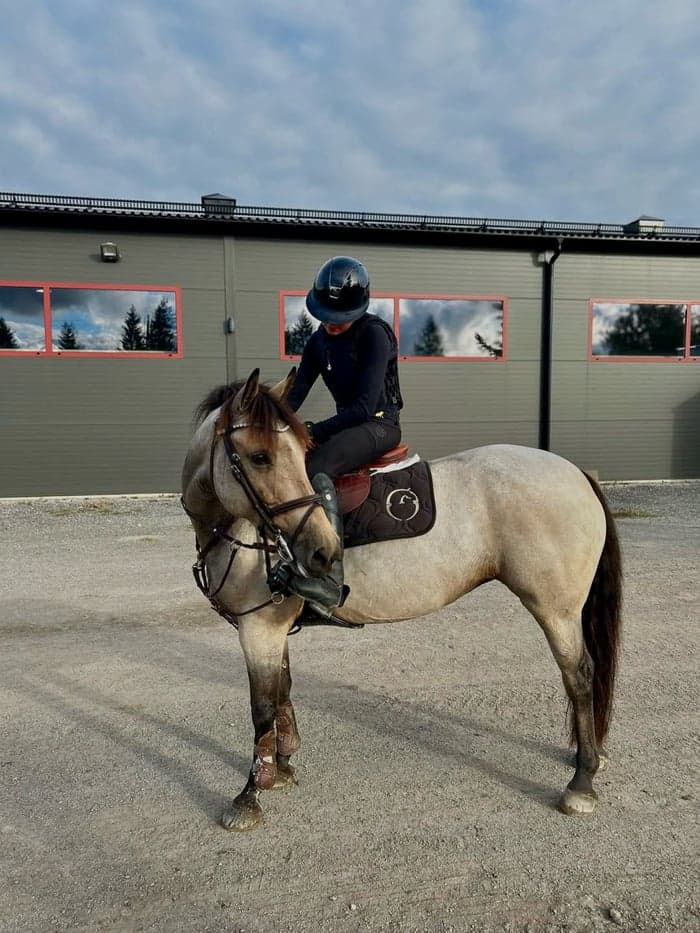 Media 1 of Jumpingdale Joy