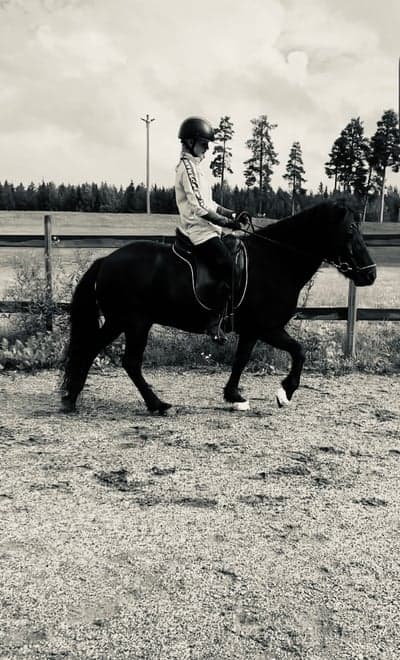 Inlägg 14 av Island med titeln 🔥🙌🤩❤️