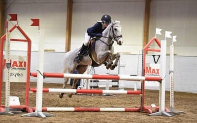 Inlägg 29 av Allround