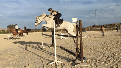 Inlägg 112 av Allround