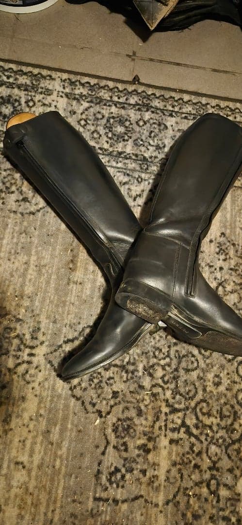 Bild 4 av Dressyrstövel Petrie 