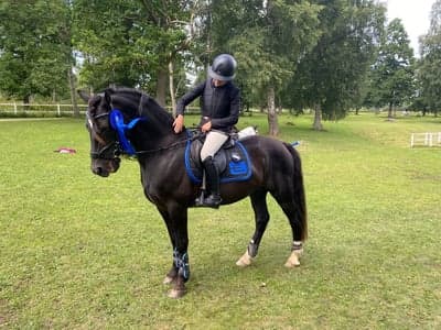 Inlägg 403 av Hoppning