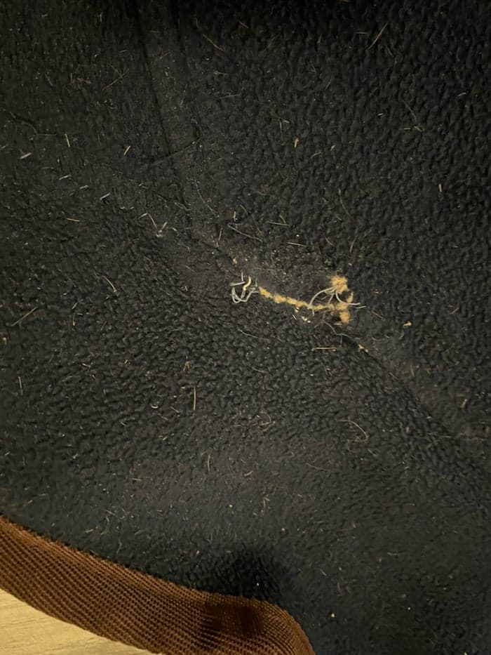 Media 4 av Mörkblått stalltäcke från JH Collection