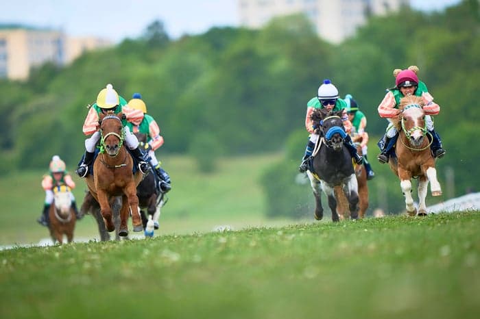 Media 4 av 🇸🇪 Upplev SM i ponnygalopp på nationaldagsgaloppen på Gärdet!