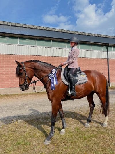 Inlägg 15 av Dressyr