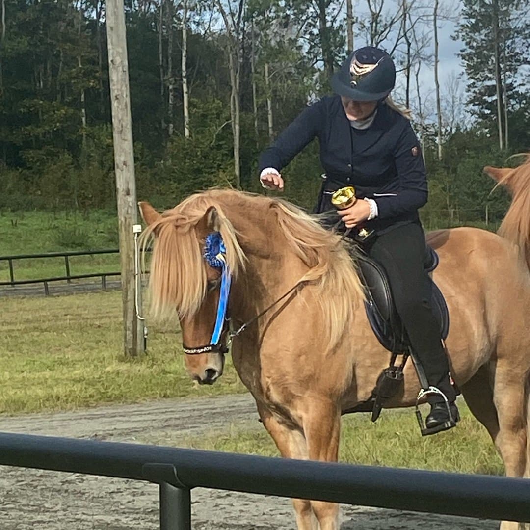 Bild 1 av Leiri från Hultensgård