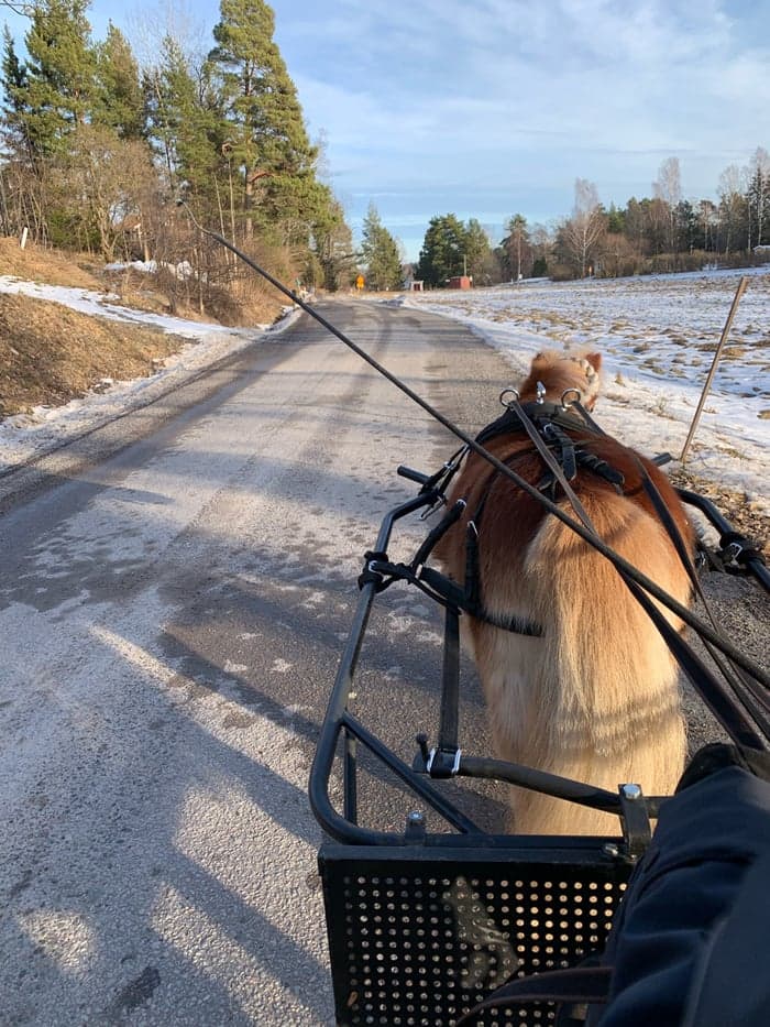 Media 4 av Almnäs Peach