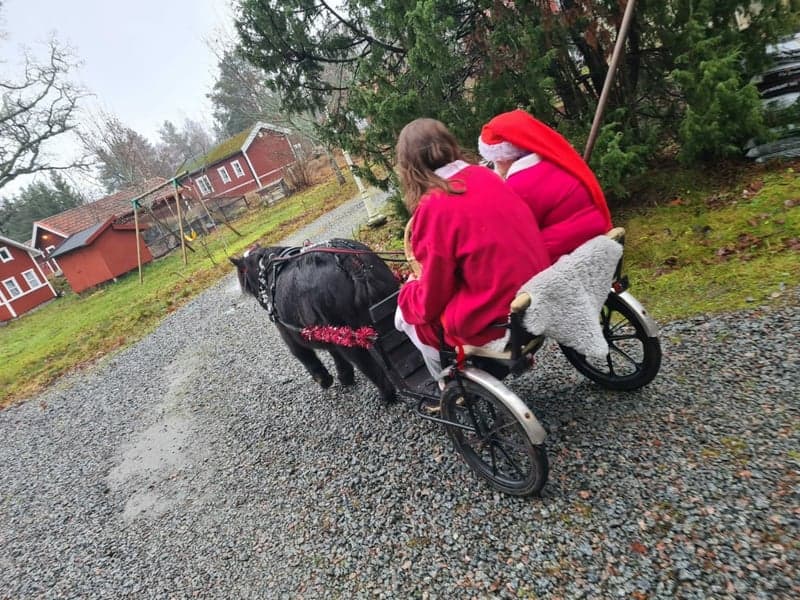 Bild 2 av placeholder text
