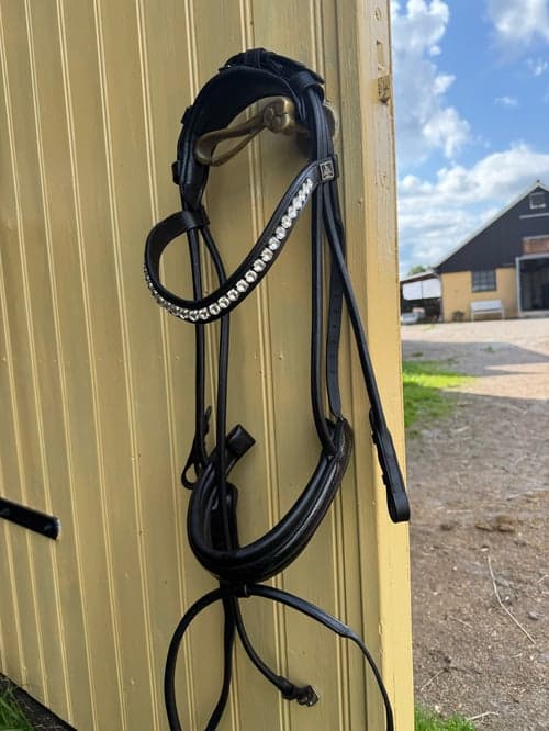 Image of Svart dressyrträns med lackad nosgrimma