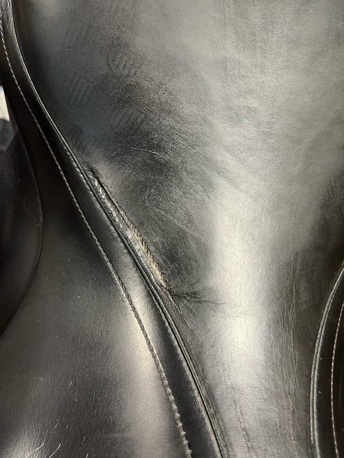 Media 6 av Amerigo Vega dressyrsadel 