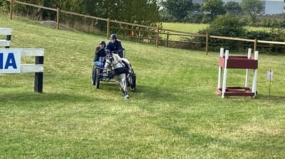 Inlägg 29 av Sportkörning