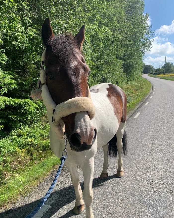 Media 1 av After Eight