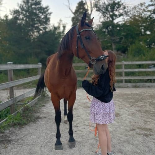 Profilbild av Vilda Frennesson