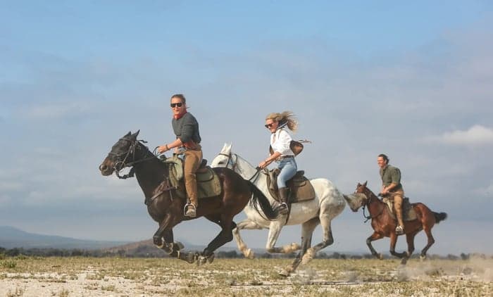 Media 2 av Ridsafari vid Kilimanjaro – 7 nätter genom Tanzanias vildmark