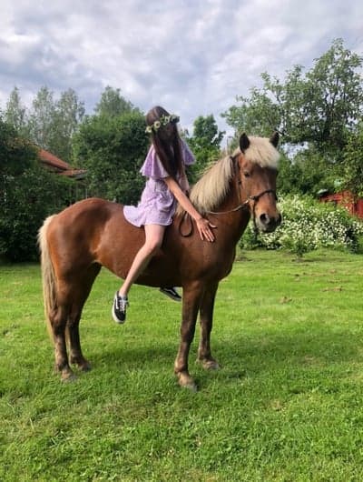 Inlägg 11 av Allround med titeln Midsommar 2021