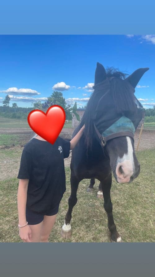 Bild av NORDENS TULA