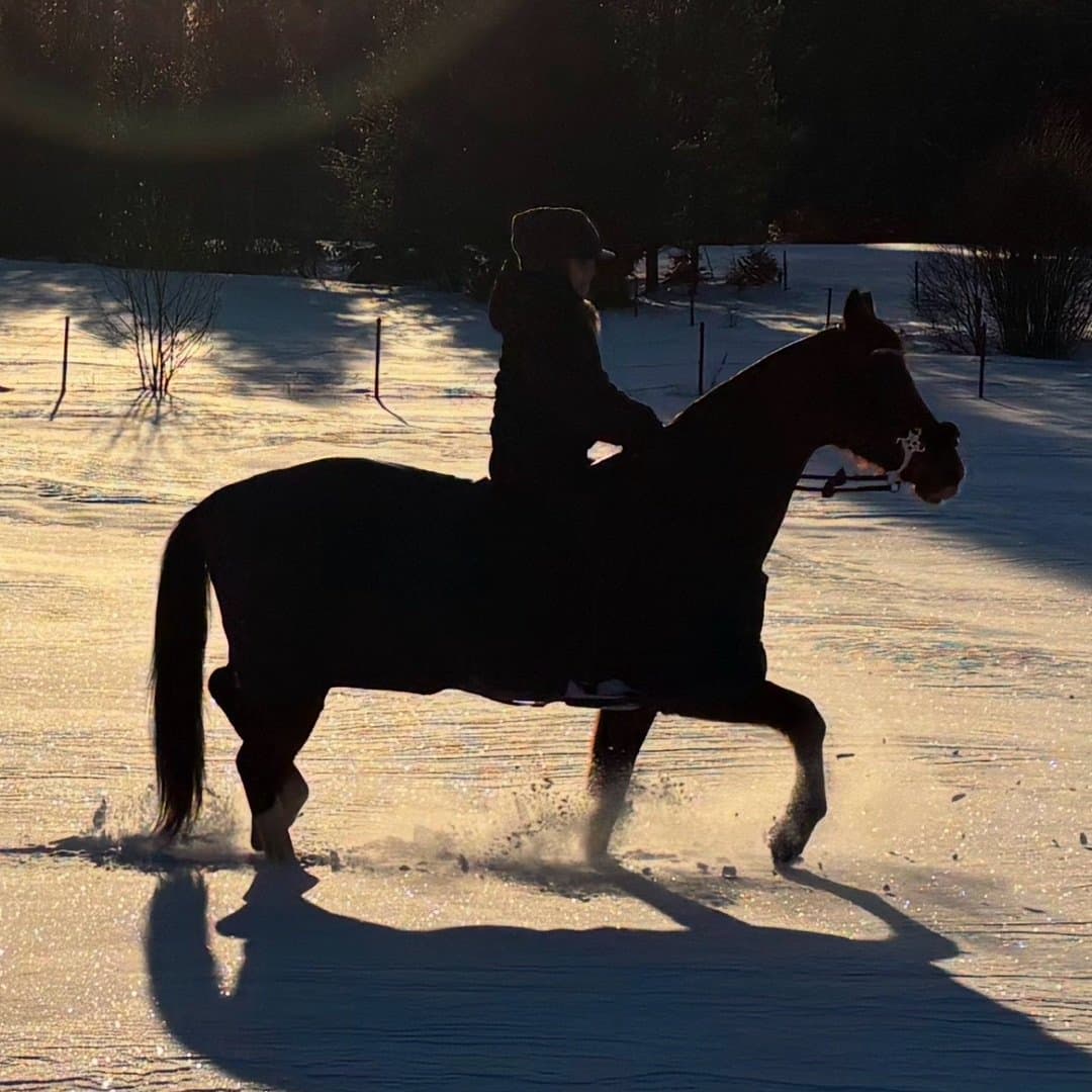 Image 1 of Little Ann