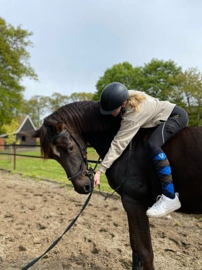 Post 24 of Hanoverian with title Älskade❤️🫶😻