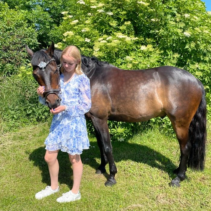 Media 1 av Sweeney Choice