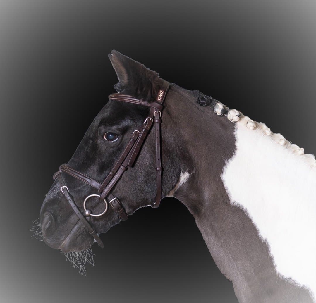 Bild 1 av Munsboro Swap Shop