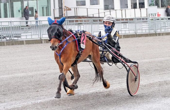 Media 2 av Träning och tävling ponnytrav