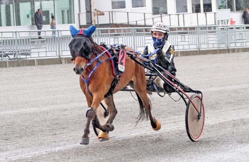 Bild 2 av Träning och tävling ponnytrav