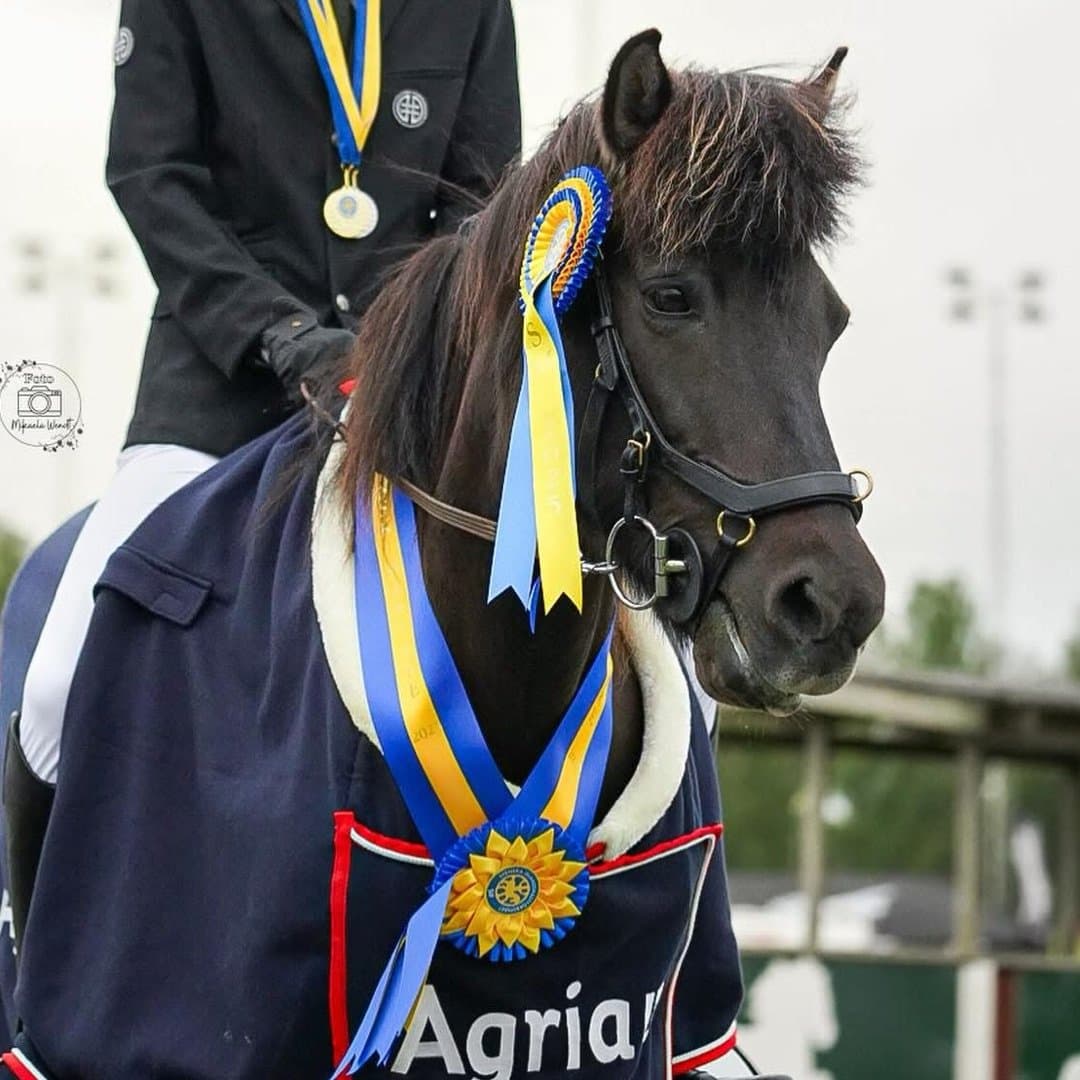 Bild 1 av Rökkvadis