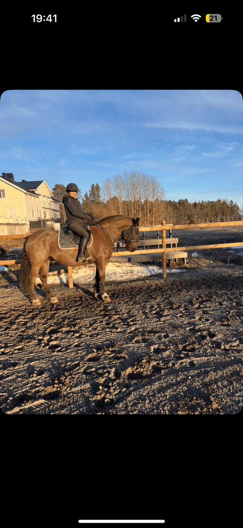 Bild 4 av G.G. Utopia