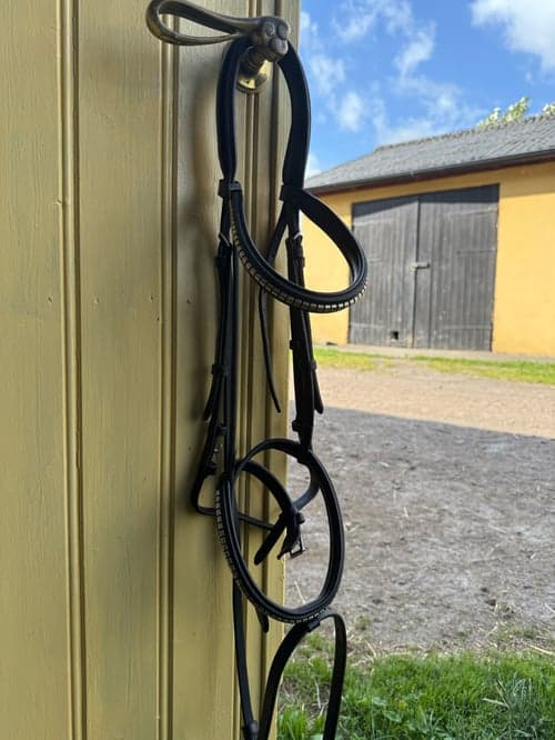 Image of Svart träns med klinker