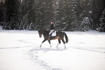 Inlägg 172 av Allround