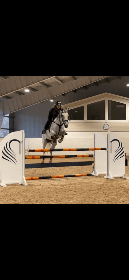 Bild 3 av Cardamomille