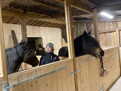 Inlägg 21 av Svensk Ridponny med titeln Inflyttning