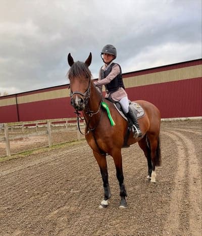 Inlägg 4 av Dressyr