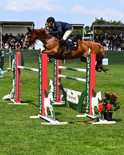 Post 12 of Belgian Warmblood with title Nicoline på Falsterbo ⭐️