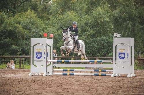 Bild av 🌟Oslipad diamant för de högsta klasserna🌟