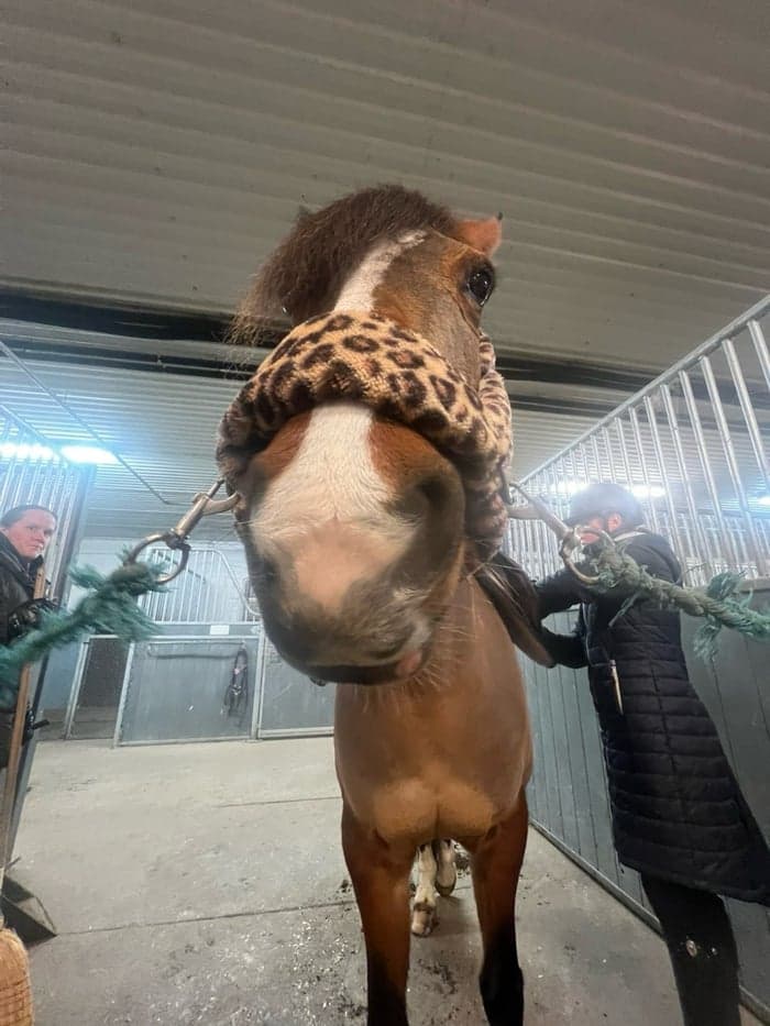 Media 1 av It aint easy