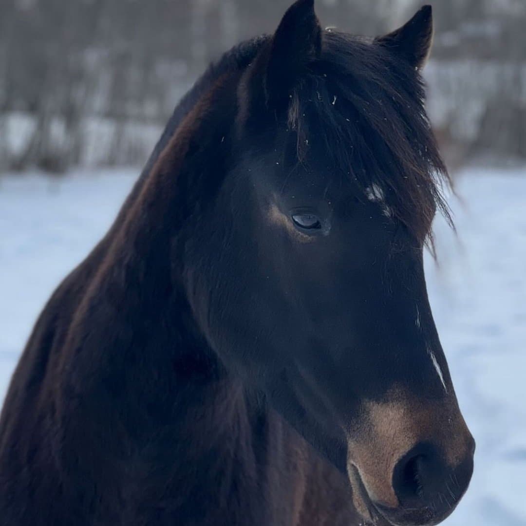 Bild 1 av Min Lilla Dalkulla