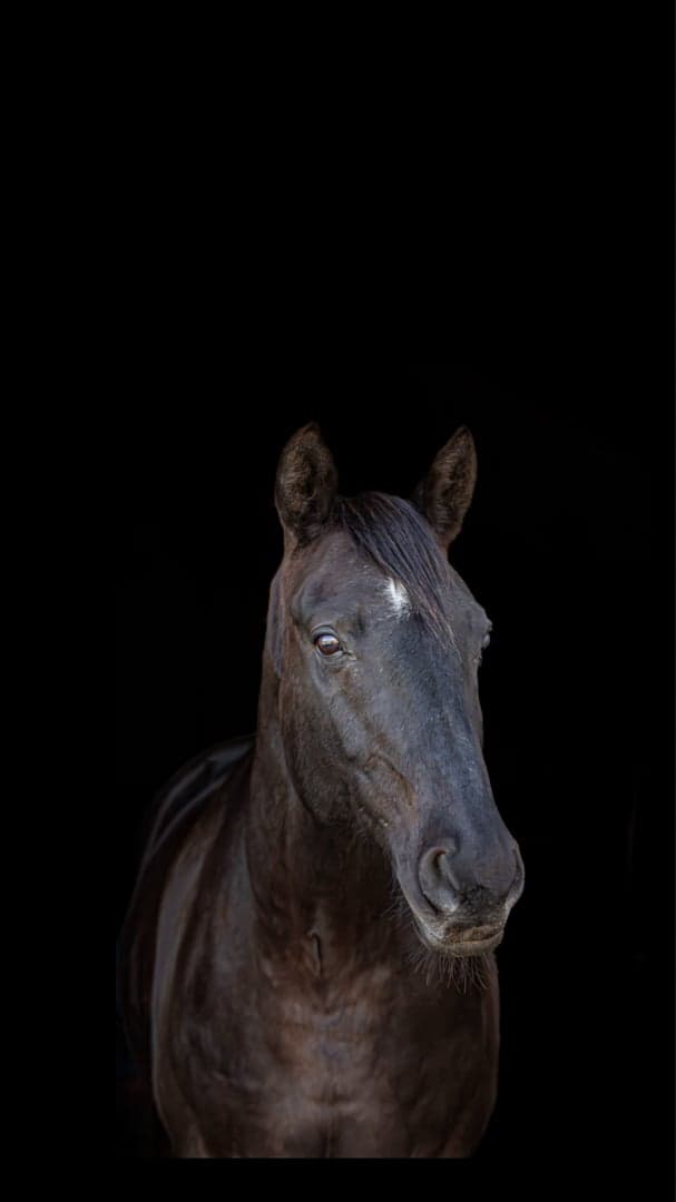 Media 1 av Bolderbast