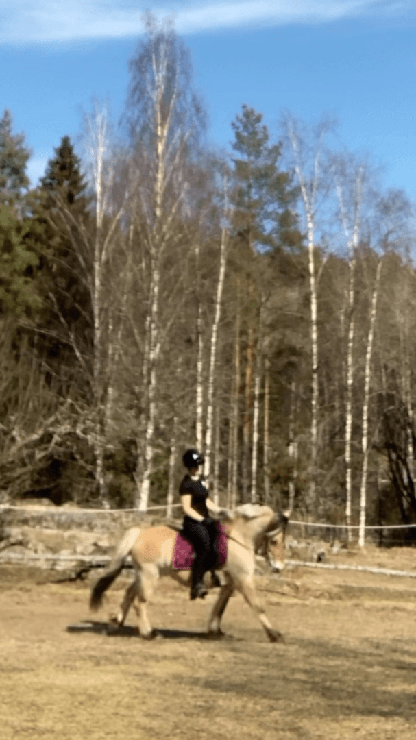 Media 3 av Kira