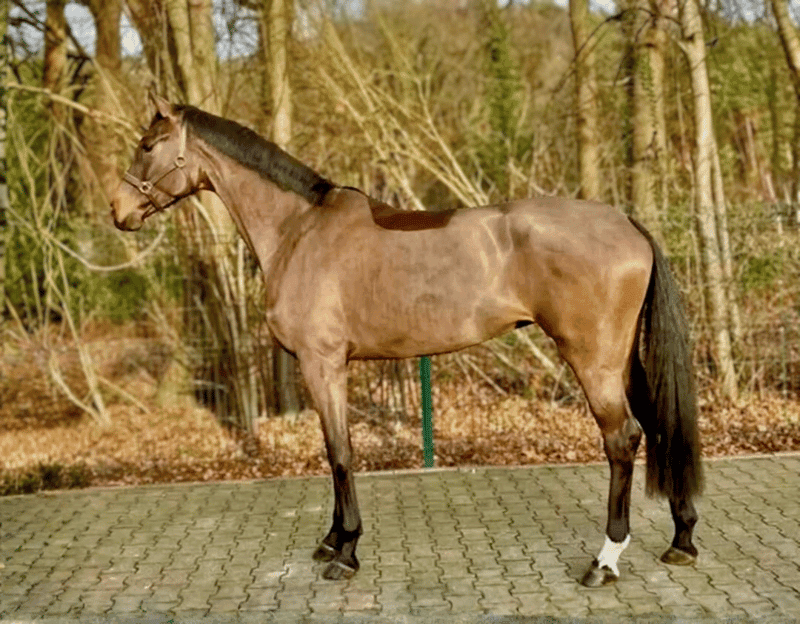 Bild 2 av Sto e. For Romance