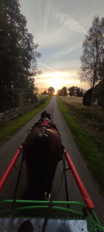 Inlägg 1 av Sportkörning med titeln Det börjar bli höst 