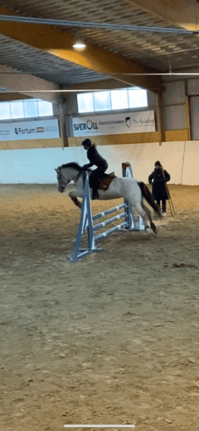 Inlägg 58 av Allround med titeln 💞💞