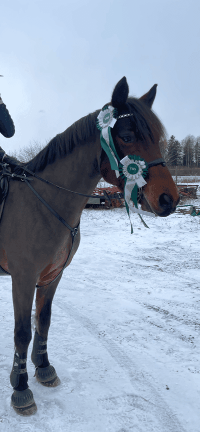 Inlägg 272 av Hoppning med titeln Simon 