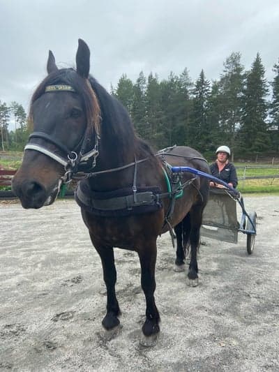 Lilltjära Valle